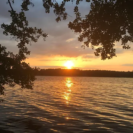 Neues Kolibri Direkt In Wandlitz, *