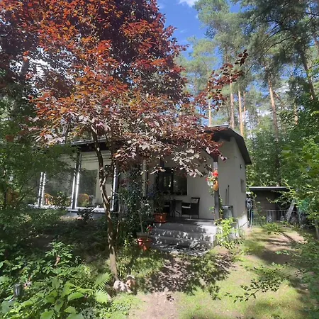 Neues Kolibri Direkt In Wandlitz, Wandlitz